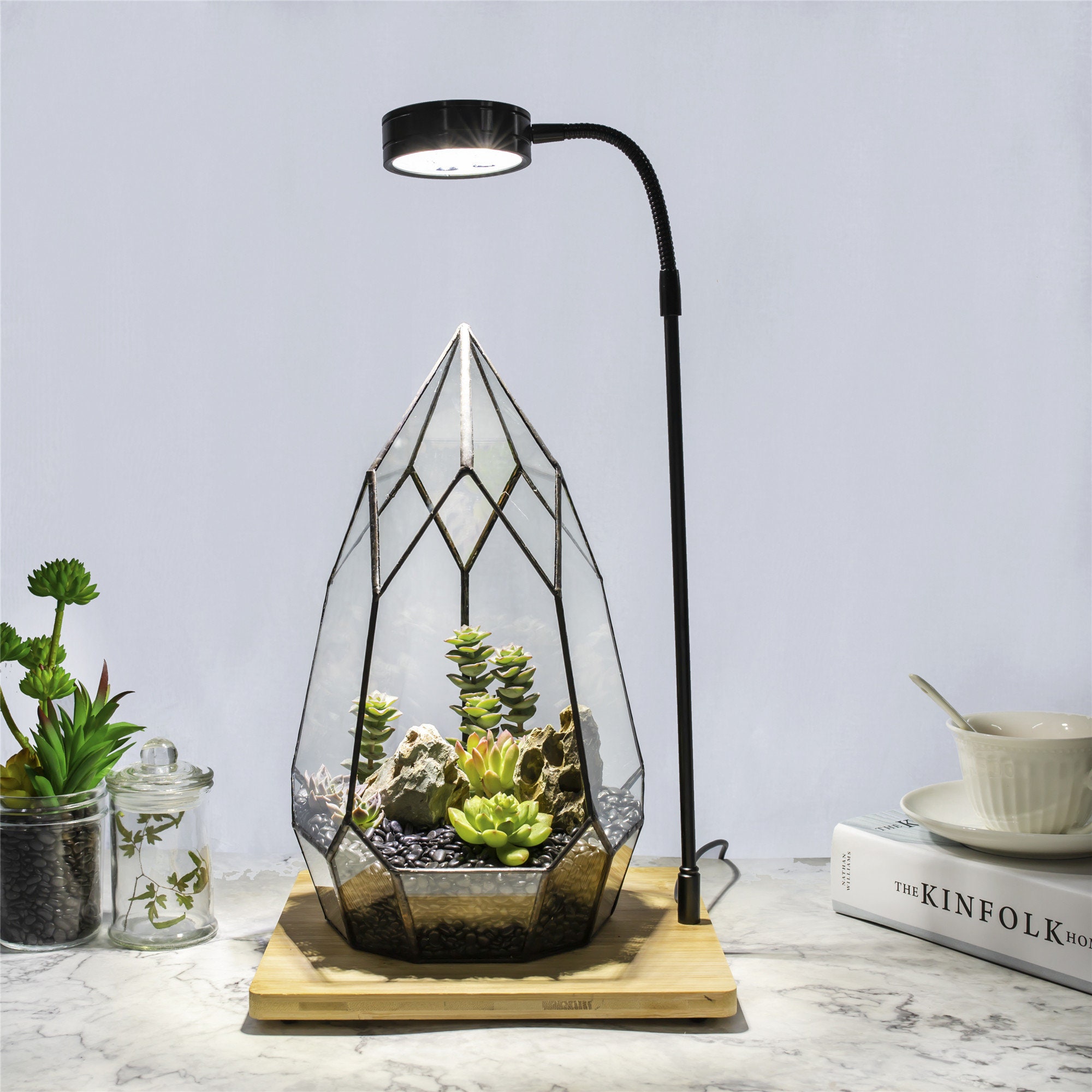 Led Terrarium 