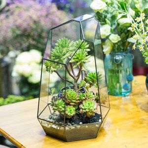 NCYP 16" Extra Large Geometric Glass Terrarium Irregular Tall Planter Succulent Cacti Fern Flower Pot Container Tabletop Bonsai Centerpiece