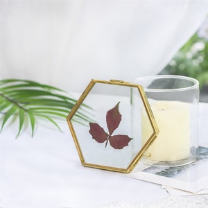 NCYP Vintage Brass Copper Floating Hanging Glass Hexagon Picture Photo Frame Small Side Length 2" / 5.1"