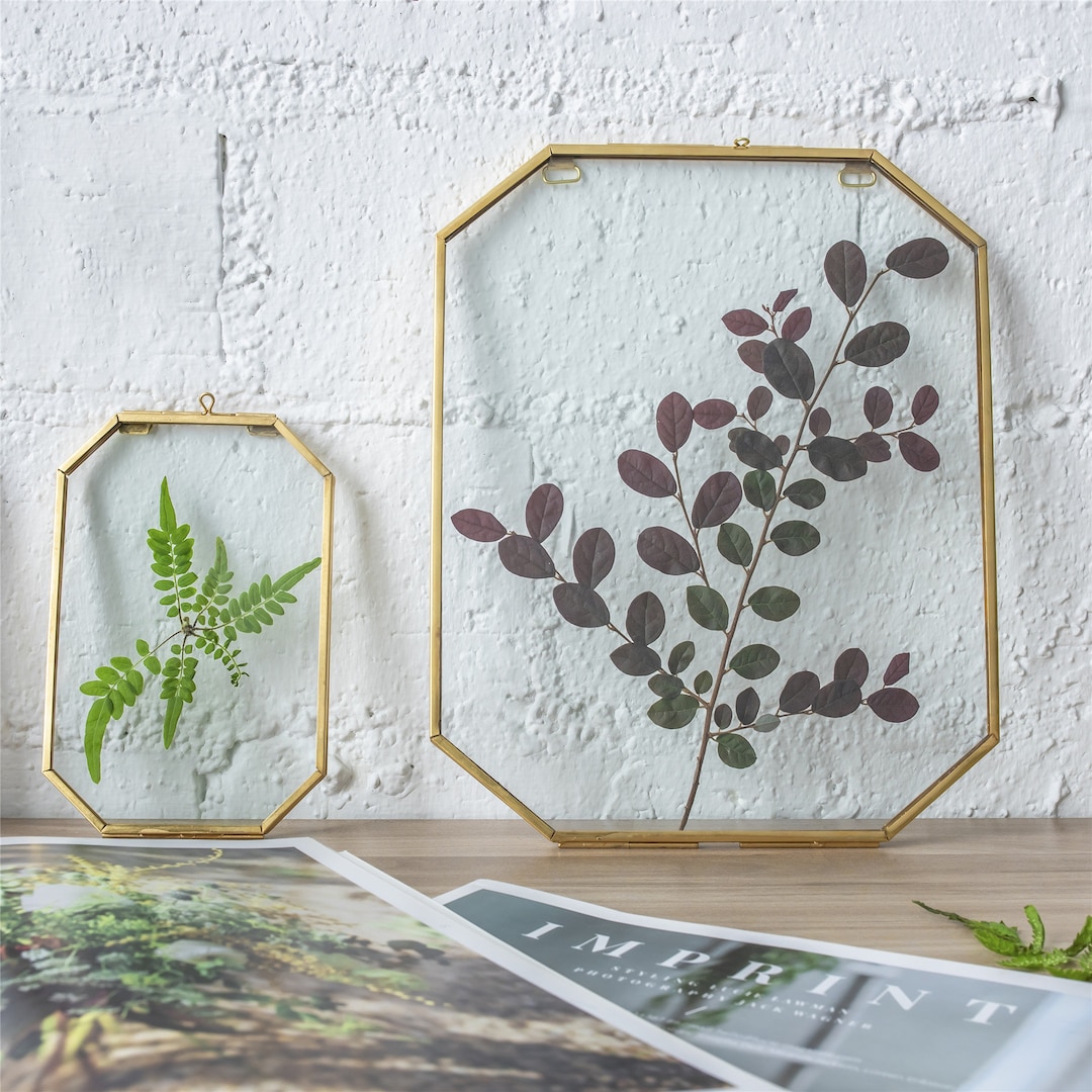 Wall Hanging Black Hexagon 12 Herbarium Brass Glass Frame for Thick  Pressed Flowers, Dried Flowers, Poster, Coin, Double Glass, floating