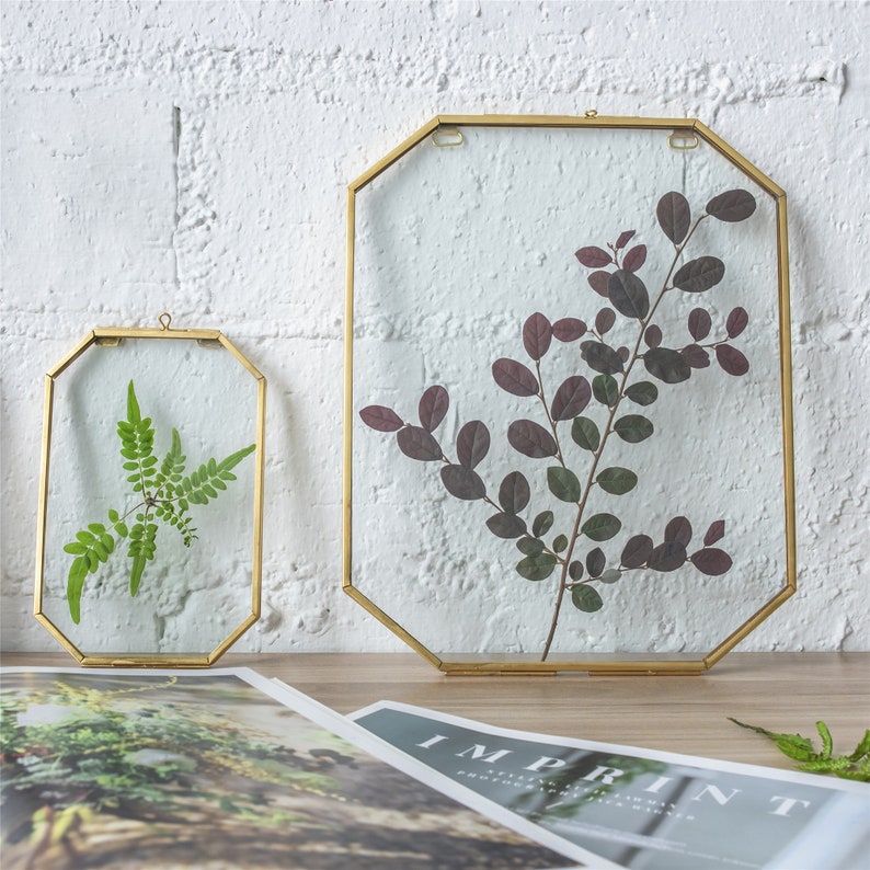 Wall Hanging Long Octagon Herbarium Brass Glass Frame for Pressed Flowers, Dried Flowers, Poster, Double Glass, floating Frame 6