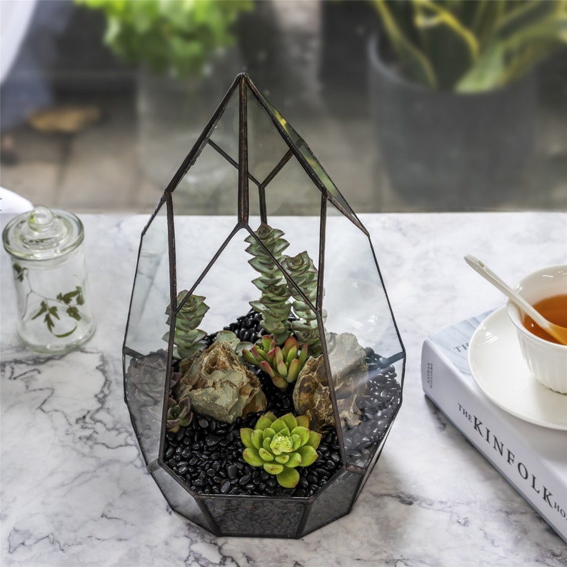 NCYP Irregular Open Geometric Glass Terrarium Tall Teardrop Succulents Planter Pot Miniature Dessert Landscape Bonsai Orchid Container