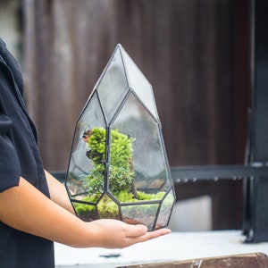NCYP Irregular Close Geometric Glass Terrarium with door Tall Teardrop Planter Pot Miniature  Moss, Tropical Plants Orchid Container