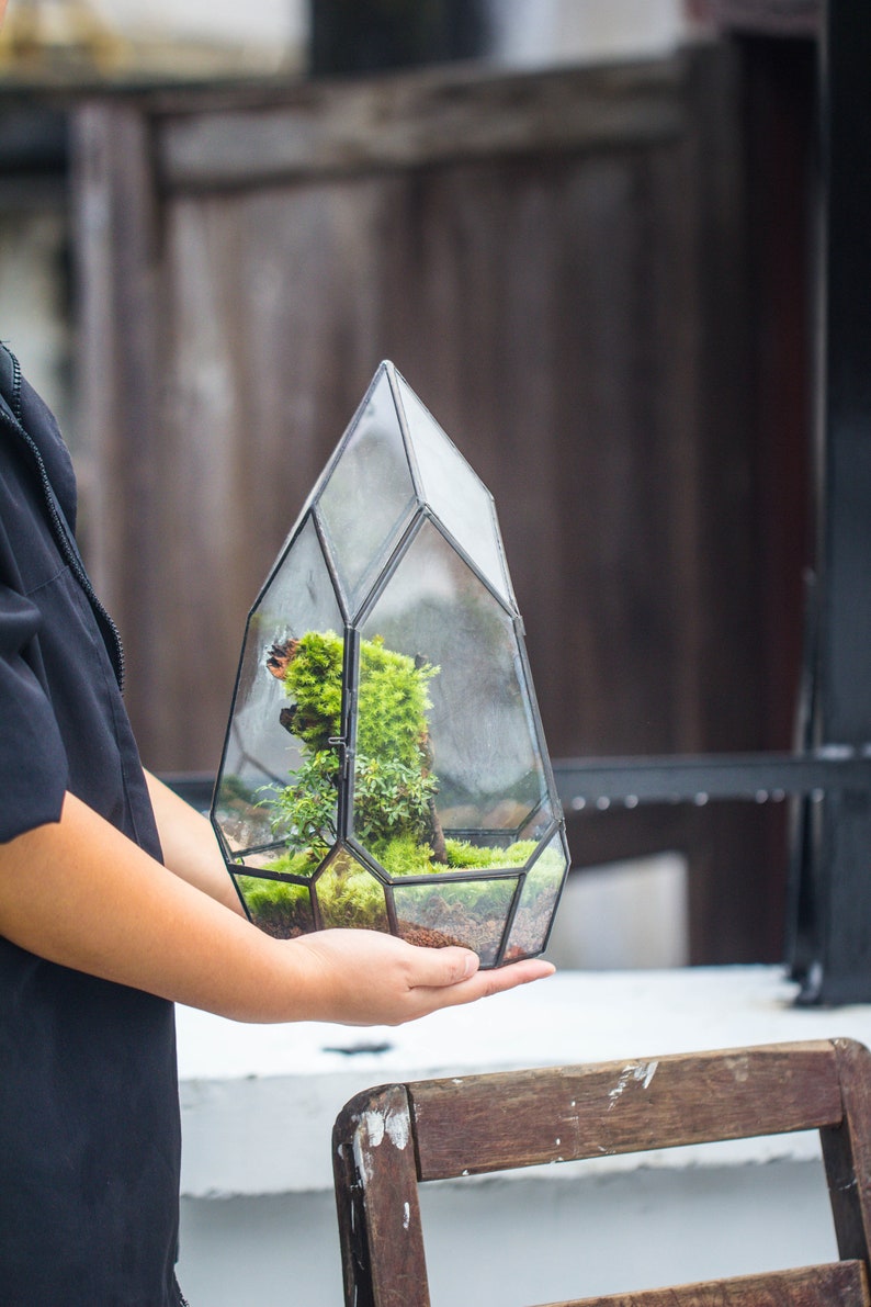 NCYP Irregular Close Geometric Glass Terrarium with door Tall Teardrop Planter Pot Miniature Moss, Tropical Plants Orchid Container