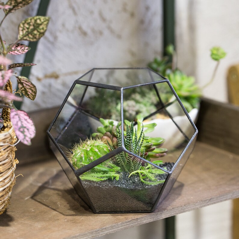 NCYP Tabletop Glass Geometric Terrarium only Container Decor Flower Pot Planter DIY for Succulent Fern Moss Air Plants Fairy Garden Gift 