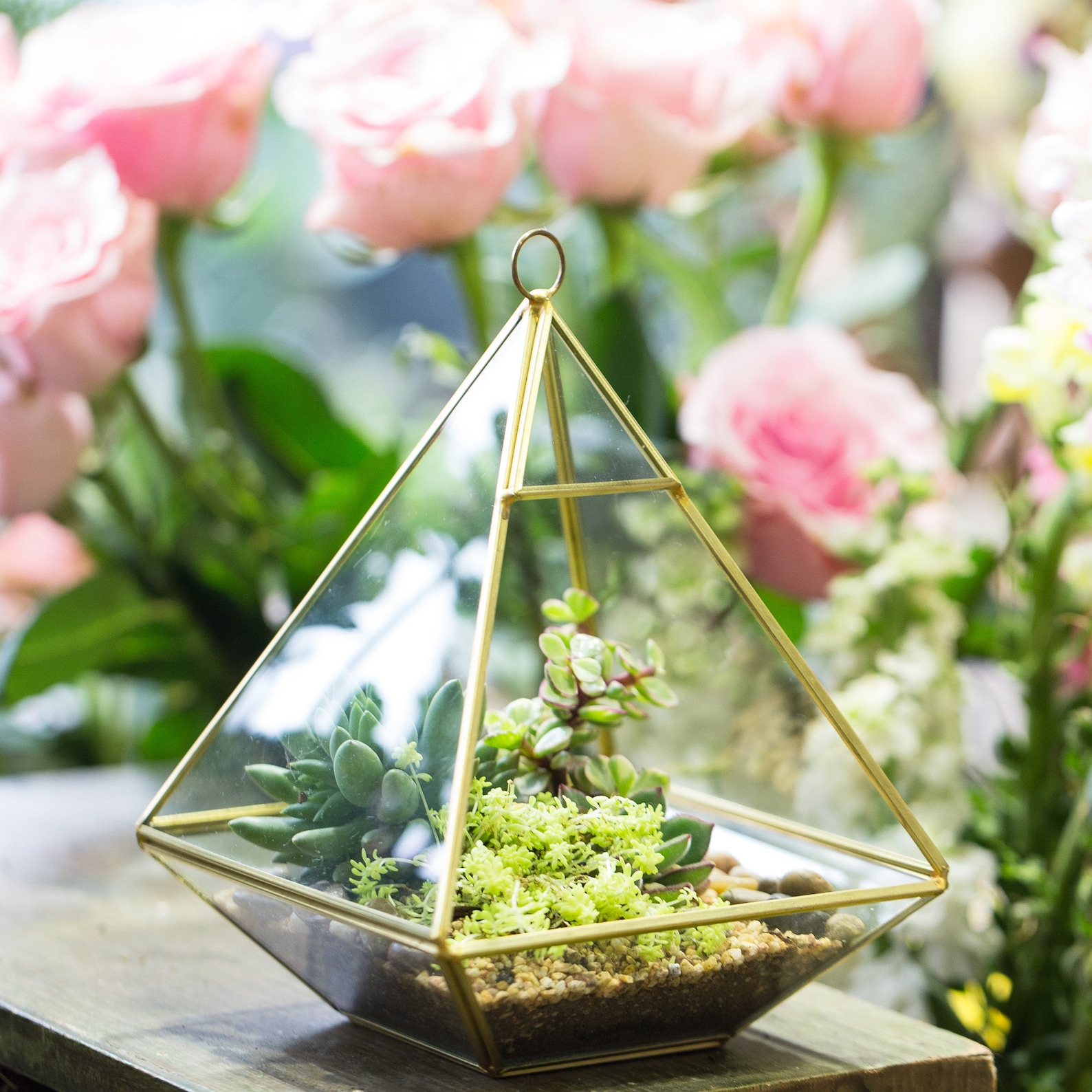 NCYP Geometric Glass Terrarium Pyramid Vertical Hanging Etsy