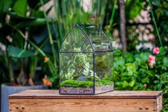 Terrario chiuso in latta di vetro vintage con tetto curvo a forma di casa,  fatto a mano, per muschio, miniatura, bonsai, piante tropicali -  Italia