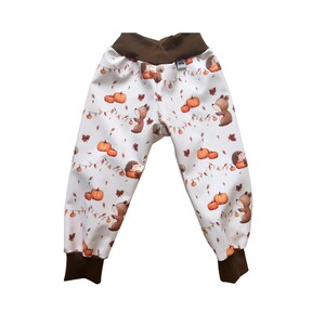 Könnte beinhalten: Weiße Babyhose mit braunem Bund und Bündchen. Die Hose hat ein sich wiederholendes Muster aus Kürbissen, Bären, Igeln und Herbstblättern. Das Design ist in Braun- und Orangetönen gehalten.
