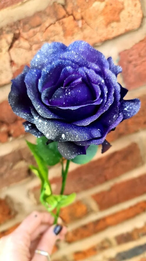 Galaxy rose flower discount