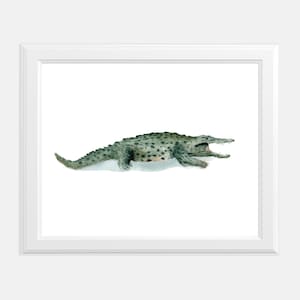Watercolor Alligator Animal Art Print | Boys Nursery Art | Florida Gator | Florida Art | Nursery Decor | Crocodile Art | Beach Art Alligator