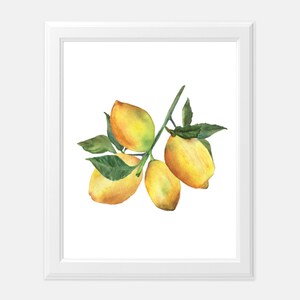 Arte de pared de cocina con acuarela de limón / Pintura botánica de acuarela de cítricos / Decoración de cocina de estilo rústico / Ilustración de limón de verano