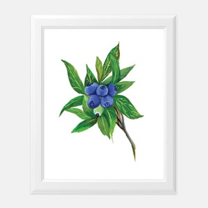 Blaubeer Gouache Druck | Aquarell Heidelbeerzweig | Aquarell Beere Malerei | Gouache Beerenmalerei | Blaubeermalerei | Frühlingskunst