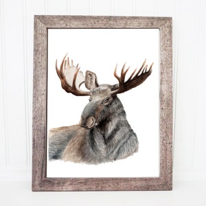 Moose Art Print | Forest Animal Wall Decor | Nursery Wall Art | Nursery Wall Pictures | Woodland Animal | Animal Illustration | Animal Art