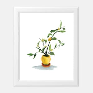 Impresión artística de jarrón de limón vintage / Pintura de acuarela de árbol frutal cítrico / Decoración artística de cocina de granja / Ilustración de limón / Botánico de verano