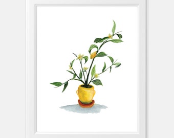 Vintage Lemon Vase Art Print | Citrus Fruit Tree Watercolor Painting | Farmhouse Kitchen Art Decor | Lemon Illustration | Summer Botanical
