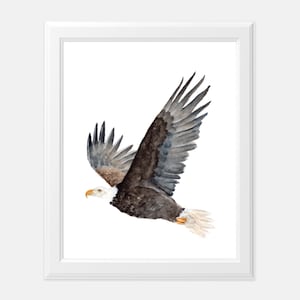 Bald Eagle Art Print Watercolor Flying American Eagle Patriotic Summer Wall Art Print Bald Eagle Watercolor Eagle Decor For Fourth of July