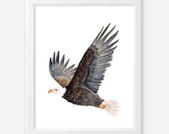 Watercolor Bald Eagle Flying Art Print | American Eagle Watercolor Print | Flying Bald Eagle Art | Bald Eagle Painting | Watercolor Eagle