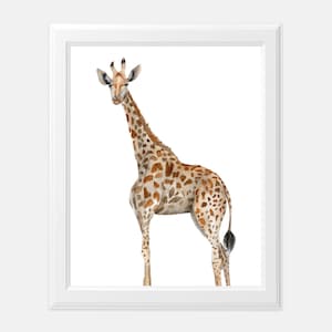 Watercolor Giraffe  Wall Art Print | Safari Animal Portrait | Giraffe Animal Print | Watercolor Animal Nursery Print | Giraffe Home Decor
