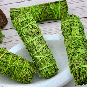 May include: Four bundles of green sage smudge sticks tied with green twine. The smudge sticks are arranged in a white bowl on a wooden surface.