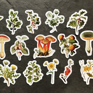 Pilze Pflanzensticker, Aufkleber Botanik, Sticker Herbst, Junk Journal Wald, Scrapbooking Deko, Ephemera Blätter Blumen