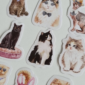 Katzen Aufkleber, Comic Sticker niedlich, Deko Kalender, Scrapbooking Kätzchen, Bujo Zubehör Tiere, Katzengesicht witzig