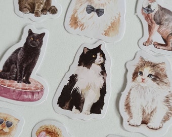 Katzen Aufkleber, Comic Sticker niedlich, Deko Kalender, Scrapbooking Kätzchen, Bujo Zubehör Tiere, Katzengesicht witzig