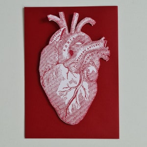Valentinskarte anatomisches Herz, Grußkarte Valentin, Jahrestagskarte retro, Geschenk Arzt Kardiologe, Valentinsgrußkarte Büttenpapier