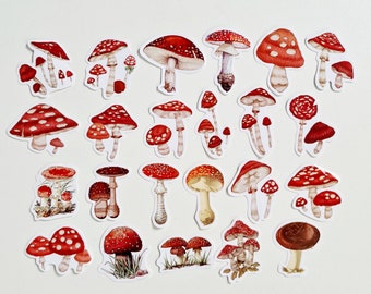 Fly agaric sticker, mushroom sticker, plant sticker autumn, gift biologist, scrapbooking Secret Santa gift