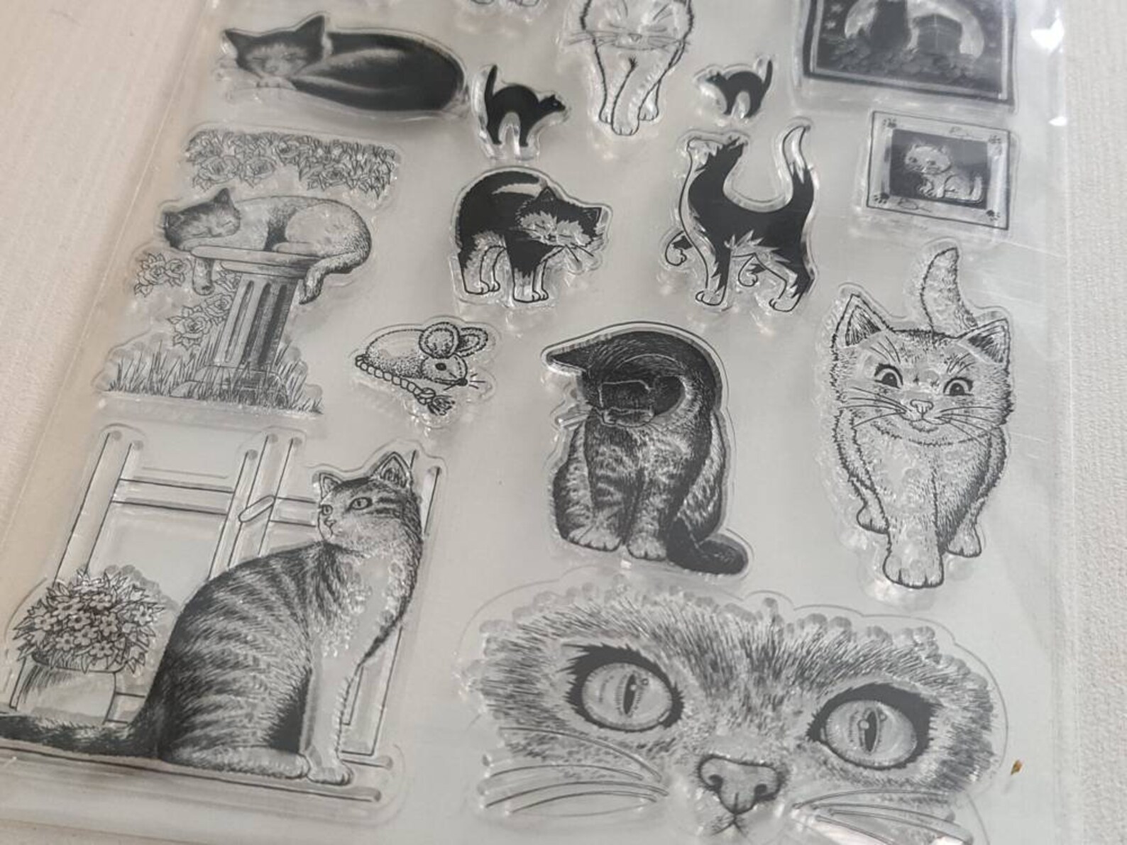Silicone Stamp Cats Silicone Stamp Kittens Clear Stamps Etsy