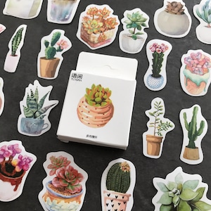 Kakteen Aufkleber, Pflanzensticker Scrapbooking, Zubehör BuJo Pflanzen, Kalenderdeko Kaktus, Sticker Topflanzen, 50-teilig