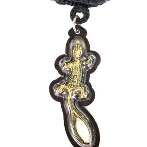 May include: A black cord necklace with a gold gecko charm. The gecko is encased in clear resin and has a detailed design.