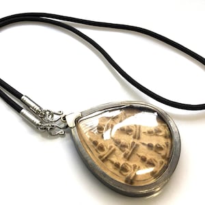 May include: A silver pendant with a clear glass cover, revealing a brown and gold patterned amulet. The pendant is attached to a black cord necklace.