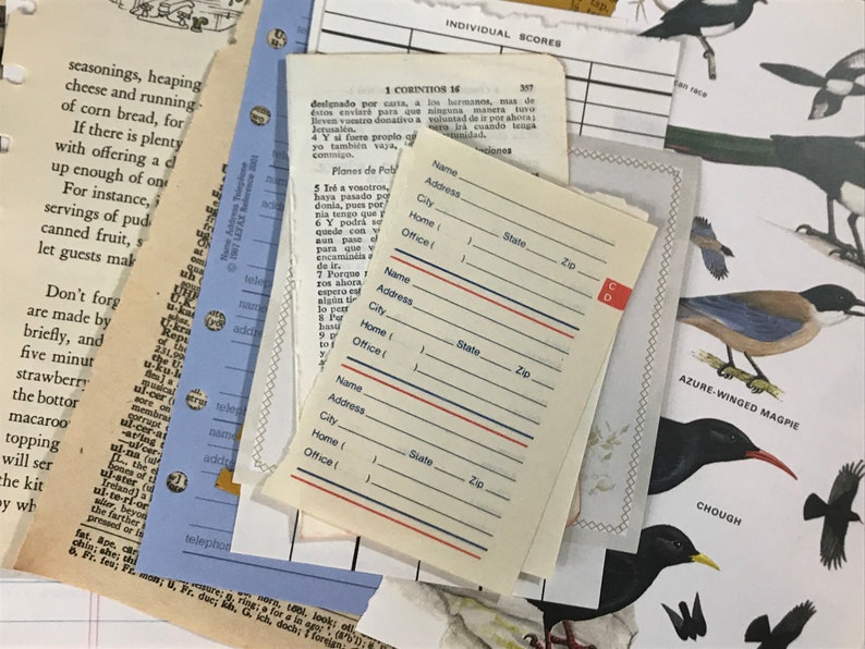 Assorted Vintage Paper Bundle Collage Kit 42 Old Book Pages Lot