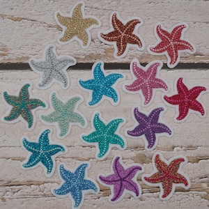 Embroidery patch glitter starfish color choice size selection application patch schooling