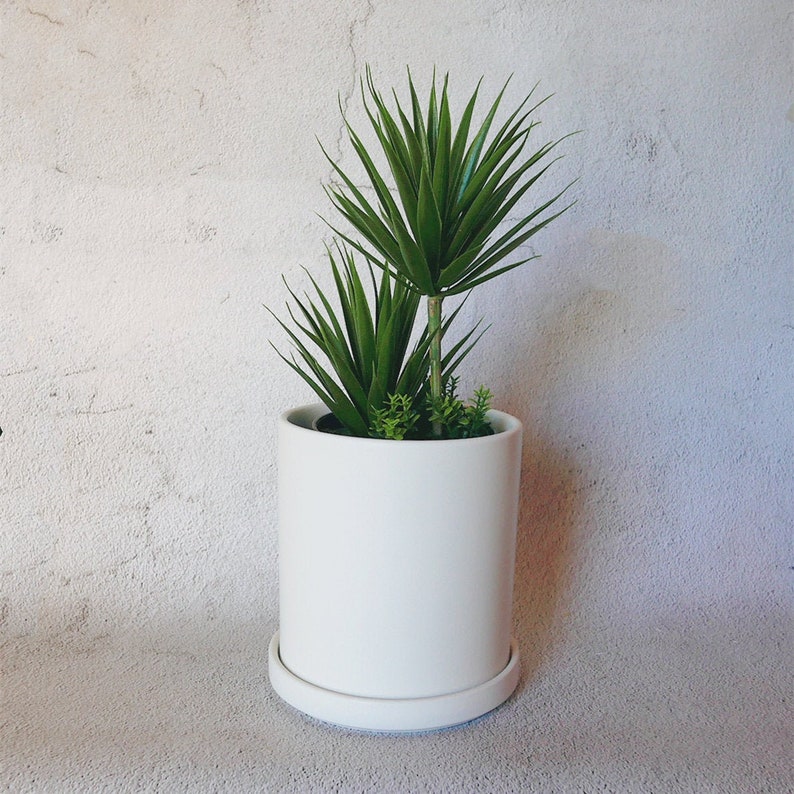 white ceramic plant tray