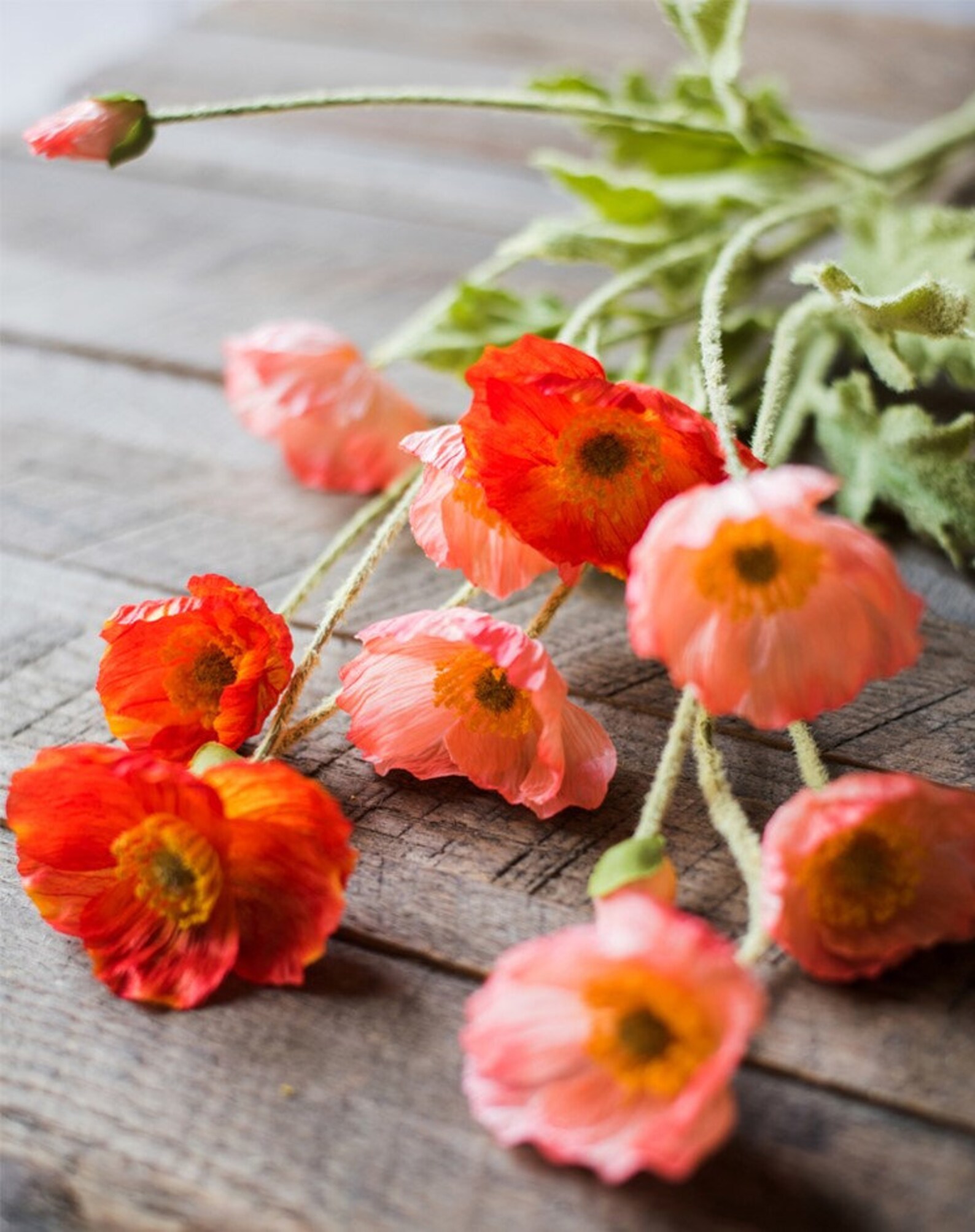 Silk Poppy Flower Stem 22 Tall Various Colors / Etsy