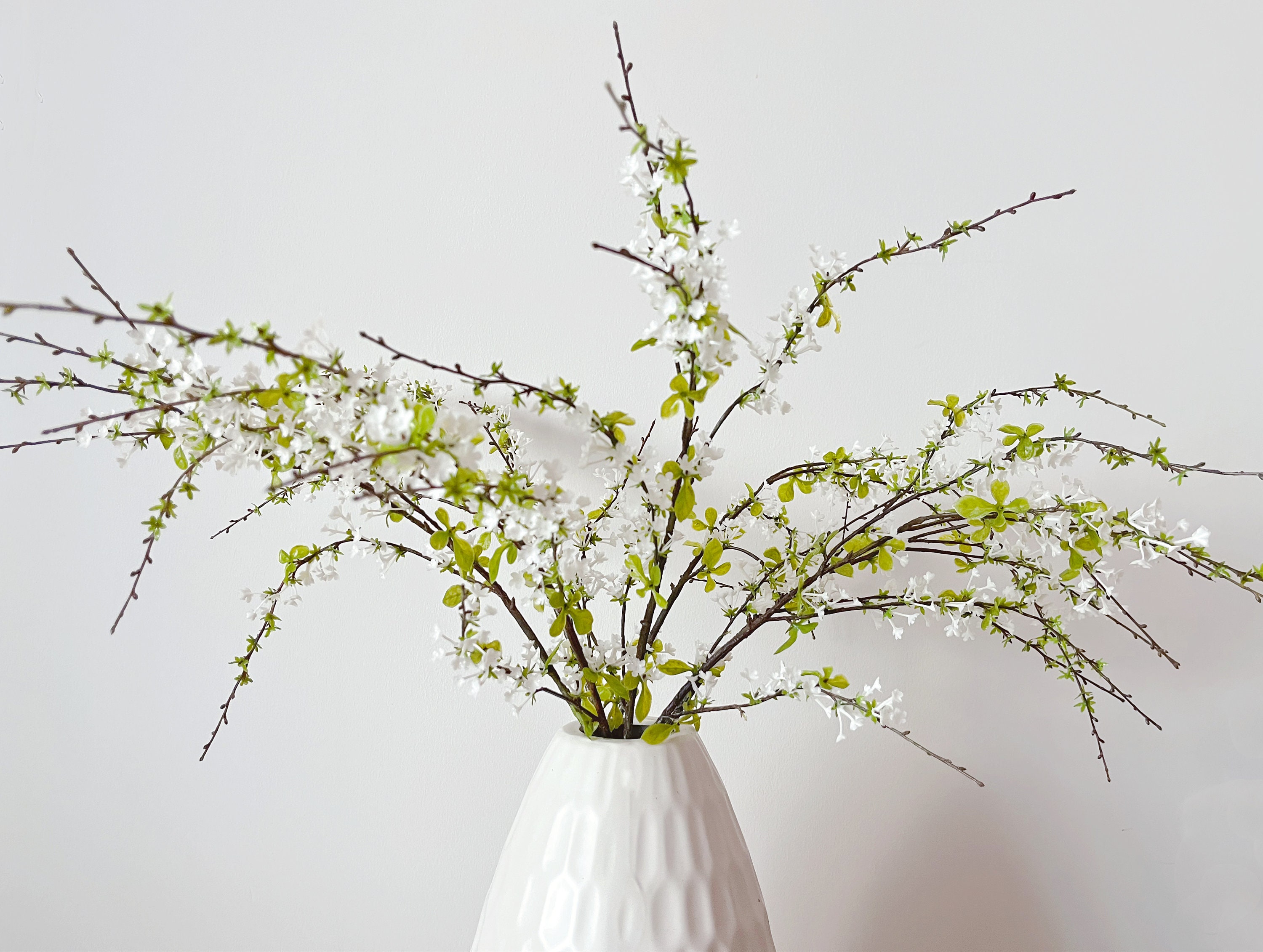 Image of White meadowsweet flower in a vase