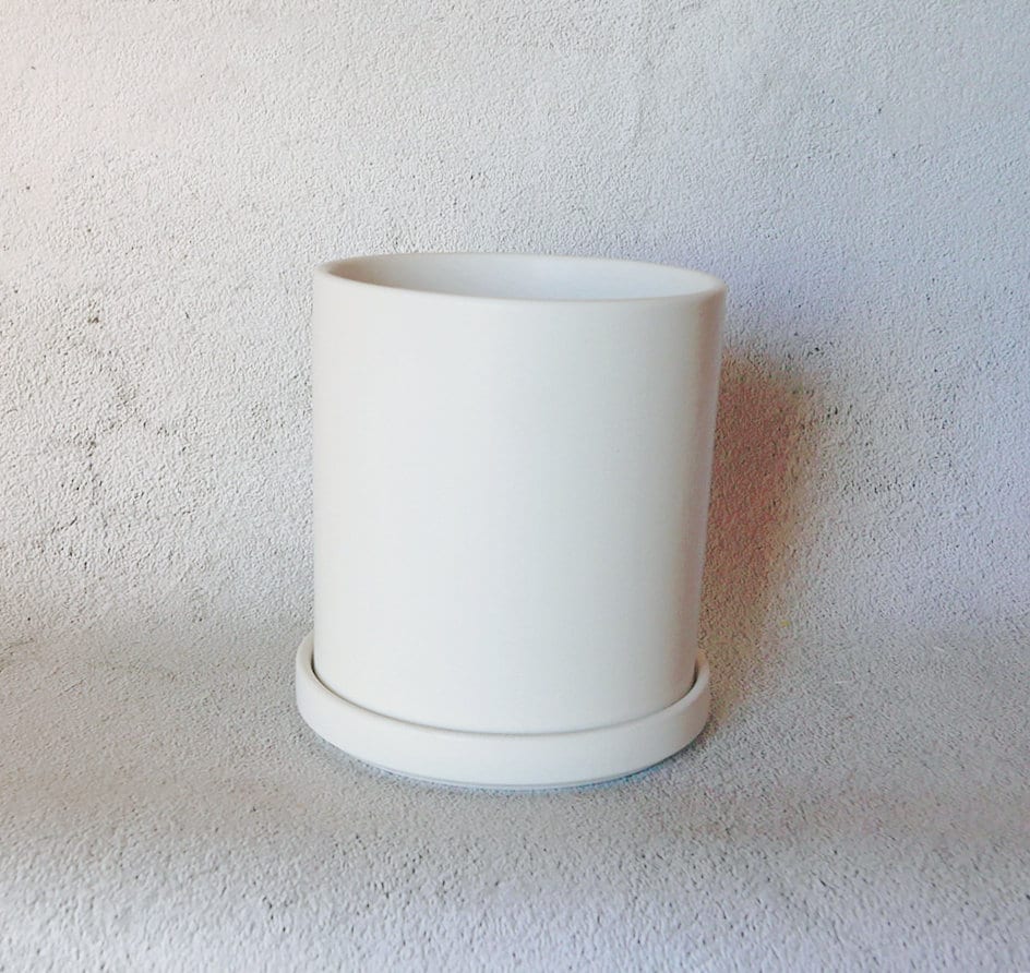 white ceramic plant tray