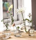 Clear Glass Small Vase Home Decor/Decorative Clear Glass Bud Vase Set/Glass Bud Vase Sets/ Table Decor Home Gift 