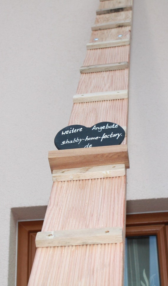 Outdoor cat ladders for sale hotsell