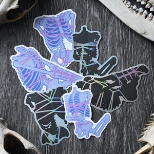 May include: Six skeleton stickers with a holographic finish. The skeletons are tied up with pink and blue string. The stickers are on a dark gray background.