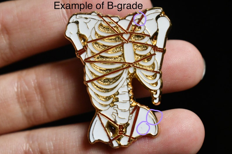 May include: Gold-toned skeleton enamel pin with white enamel details. The skeleton is bound with red rope and is in a bound pose. The pin is an example of a B-grade item.
