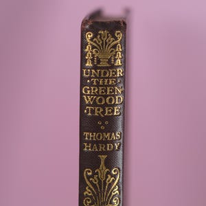 Thomas Hardy Under the Greenwood Tree 1927 vintage edition
