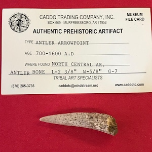 May include: A light brown antler arrow point, a prehistoric artifact. The arrow point is 2 3/8 inches long and 5/8 inches wide. The card reads "ANTLER ARROWPOINT", "700-1600 A.D", "NORTH CENTRAL AR", "ANTLER BONE L-2 3/8" W-5/8" G-7", "TRIBAL ART SPECIALISTS", "(870) 285-3736", "caddotc@windstream.net", "www.caddotc.com", "MUSEUM FILE CARD", "CADDO TRADING COMPANY, INC.", "BOX 669 MURFREESBORO, AR 71958", "AUTHENTIC PREHISTORIC ARTIFACT".