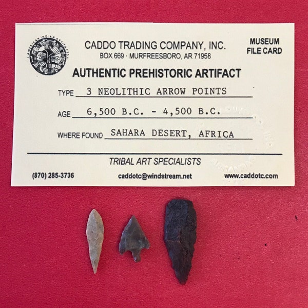 6527, Lot of 3, Neolithic, Arrowhead, Indian Arrowhead, Indian, Artifact, Africa, Sahara, Native, Authentic Arrowhead, Relic, FREE SHIP