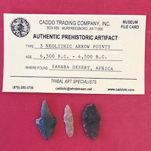 7037, Lot of 3, Neolithic Points, Arrow, Africa, Authentic, Arrowhead, Artifact, Prehistoric, Relic, Ancient, Sahara Desert,  FREE SHIP