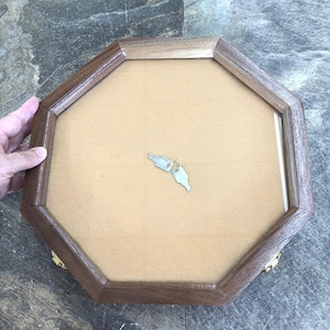 New, Display Case, Octagon, Locking, 13&quot; x 13&quot; x 2&quot;, Wood, Brass, Glass, Felt, Arrowheads, Medals, Trinkets, Collectibles, Keys, FREE SHIP