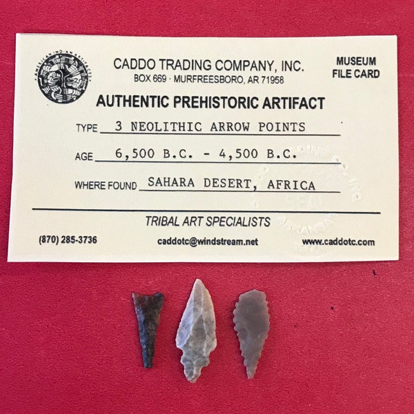 6478, Lot of 3, Neolithic, Arrowhead, Indian Arrowhead, Indian, Artifact, Africa, Native, Authentic Arrowhead, Relic, FREE SHIP