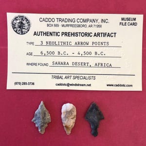 7034, Lot of 3, Neolithic Points, Arrow, Africa, Authentic, Arrowhead, Artifact, Prehistoric, Relic, Ancient, Sahara Desert,  FREE SHIP