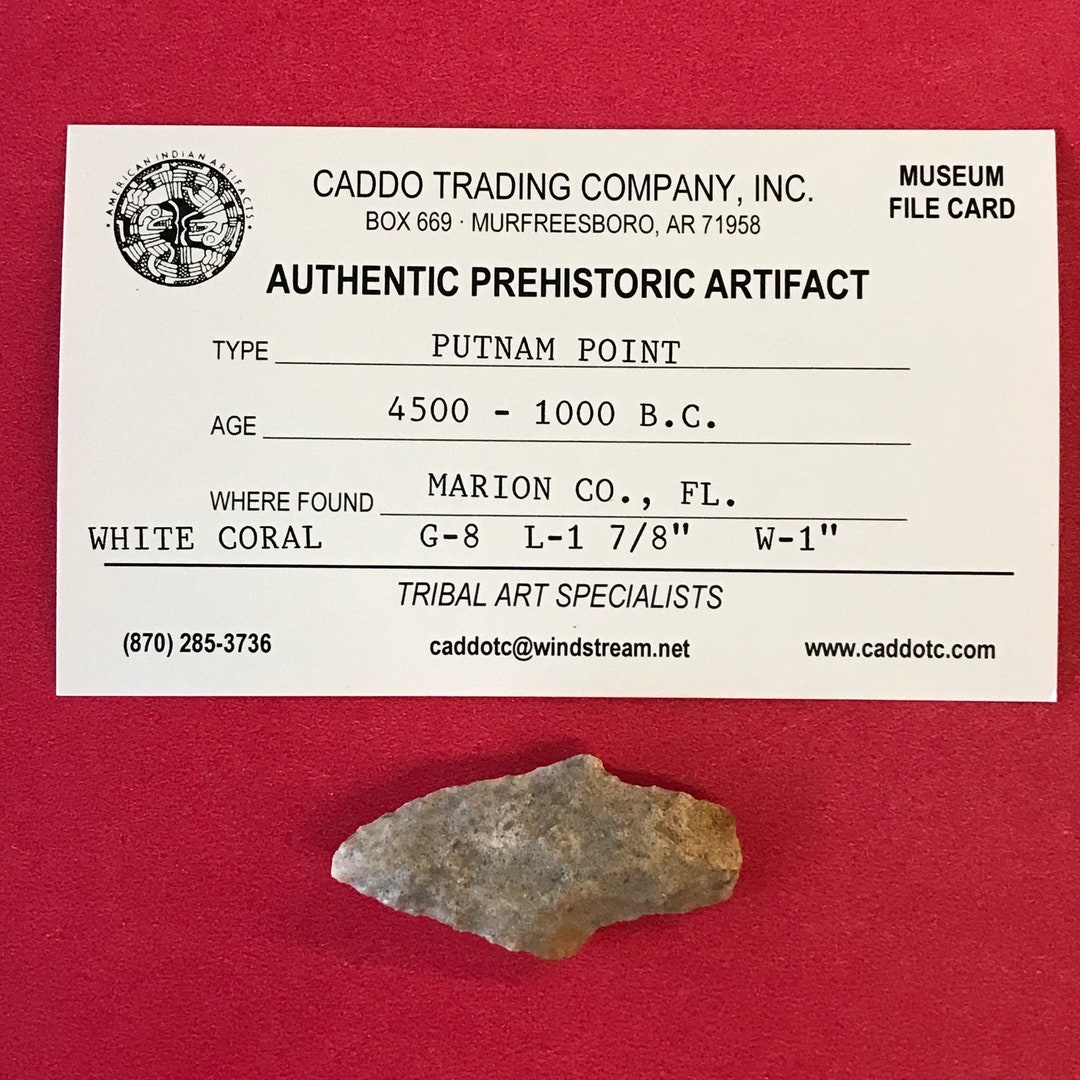 6107 Putnam Point Indian Arrowhead Indian Artifact Coral Etsy